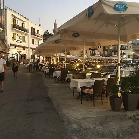 Sema * קיירניה